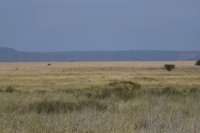 DSC_3919 (Large).JPG